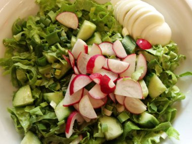 Taze bahar salatası yeşil sarımsak, turp ve salatalık 