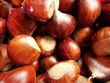 ayrıntı görünümü kestane kabukları ile