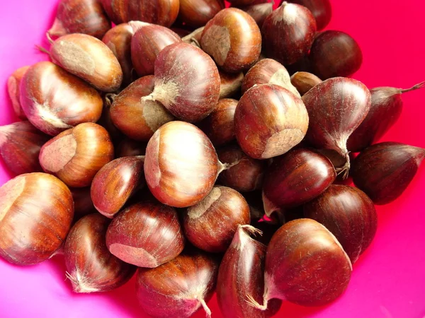 Castañas Con Conchas Cuenco Rosa —  Fotos de Stock