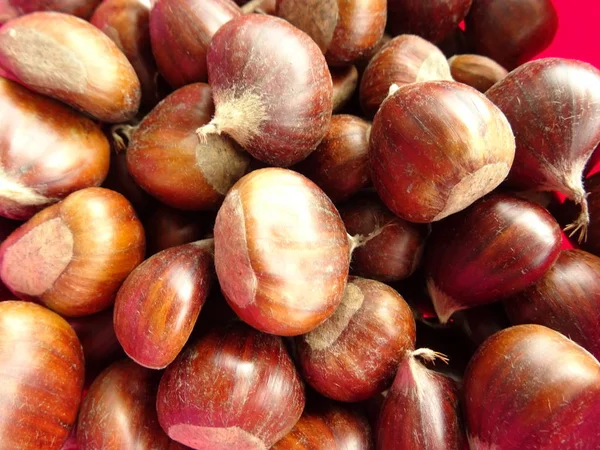 Castañas Con Conchas Cuenco Rosa —  Fotos de Stock