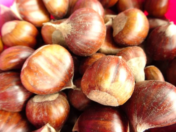 Castañas Con Conchas Cuenco Rosa —  Fotos de Stock