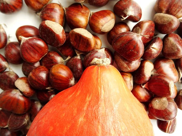 Group Pumpkin Chestnuts — Stock Photo, Image