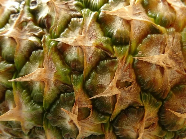 Zamknij Widok Ananasem — Zdjęcie stockowe