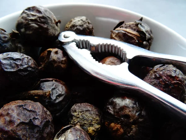 Nueces Con Conchas Trituradora Acero —  Fotos de Stock