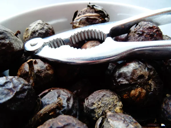 Nueces Con Conchas Trituradora Acero —  Fotos de Stock