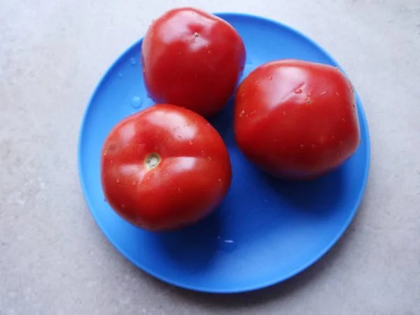 파란색 플라스틱 접시에 토마토 — 스톡 사진