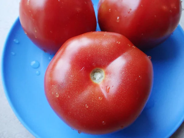 파란색 플라스틱 접시에 토마토 — 스톡 사진