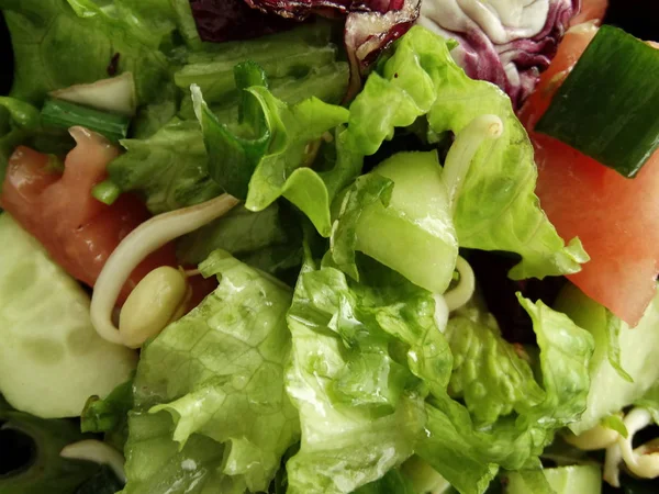 Insalata Verde Fresca Con Cetrioli Pomodori — Foto Stock