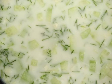 Geleneksel Bulgar soğuk çorba Tarator ile yoğurt, salatalık 