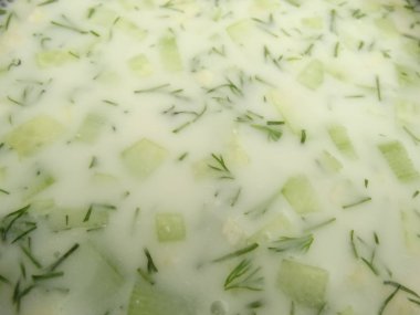 Geleneksel Bulgar soğuk çorba Tarator ile yoğurt, salatalık 