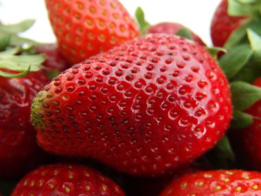 Çilek detay görünümü