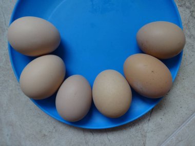 Mavi bir tabak içinde haşlanmış yumurta