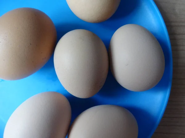 Œufs Cuits Dans Une Assiette Bleue — Photo