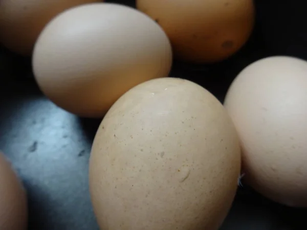 Αναλυτική Προβολή Των Βρασμένων Αυγών — Φωτογραφία Αρχείου