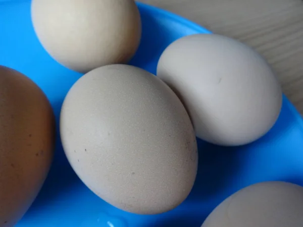 Œufs Cuits Dans Une Assiette Bleue — Photo