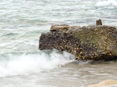 Kayalık sahilde deniz dalgaları