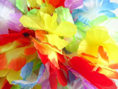 Renkli çiçeklerle Hawaiian kolye