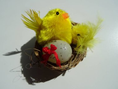 Paskalya Decoraion Nest ile bir Chick ve bir yumurta