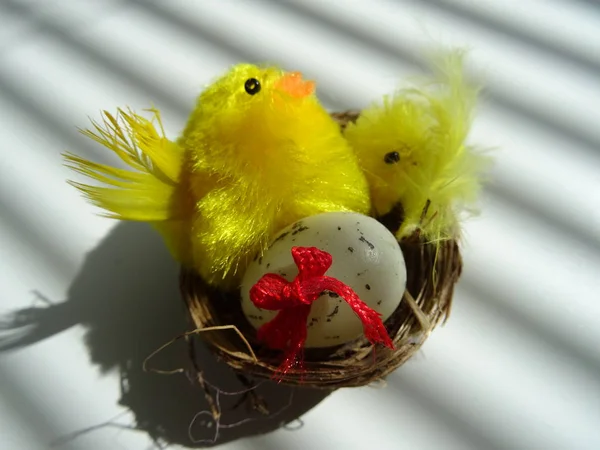 复活节装饰巢与小鸡和鸡蛋 — 图库照片