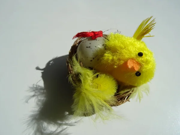 Húsvét Decoraion Nest Chick Egy Tojás — Stock Fotó