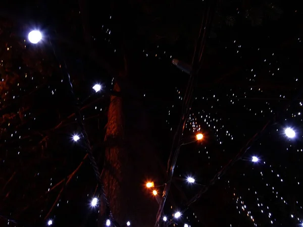 夜のクリスマスライトのビュー — ストック写真