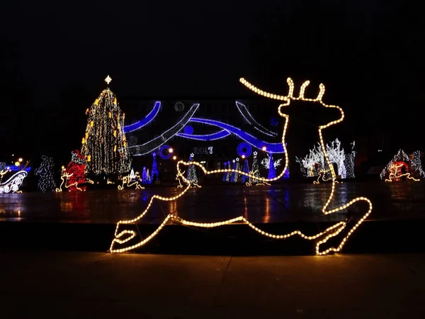 Deer Christmas Światło Dekoracji — Zdjęcie stockowe