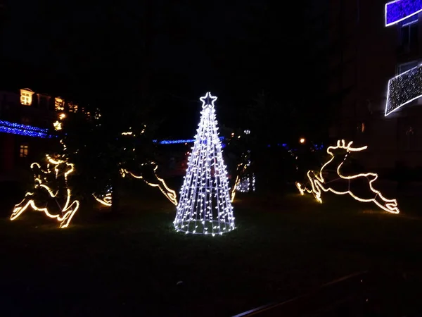 Albero Natale All Aperto Con Luci Bianche — Foto Stock