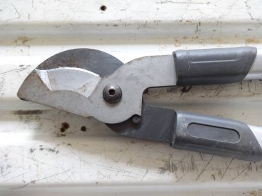 detail view of Clippers