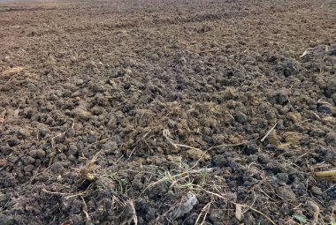 toprak dokusu görünümü 