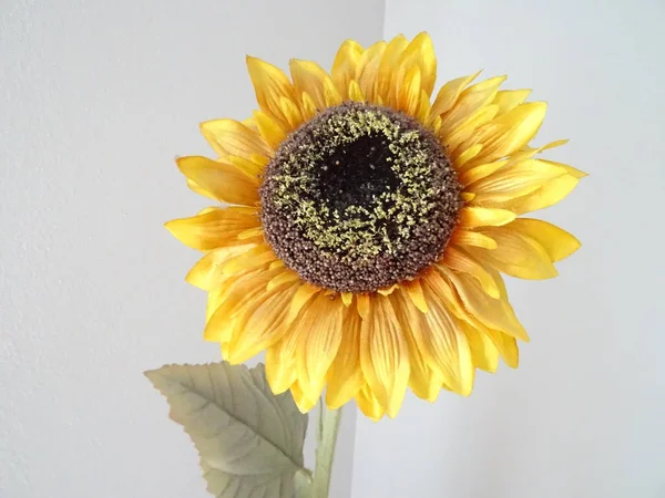 Künstliche Sonnenblumen Wohndekoration — Stockfoto