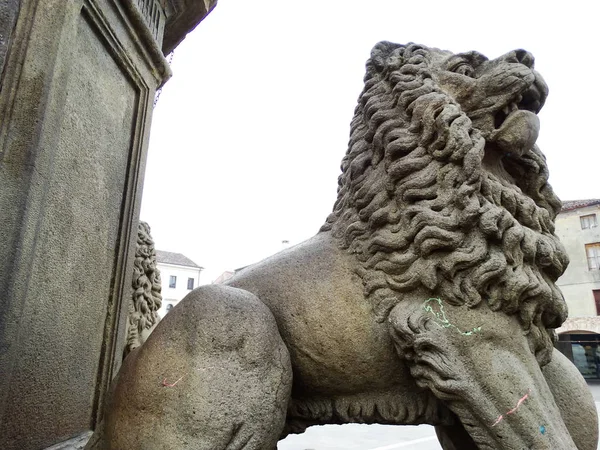 Steinlöwenstatue Este Italien — Stockfoto