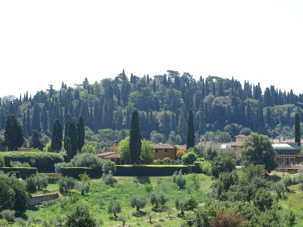 イタリア フィレンツェのイタリア山庭園 — ストック写真