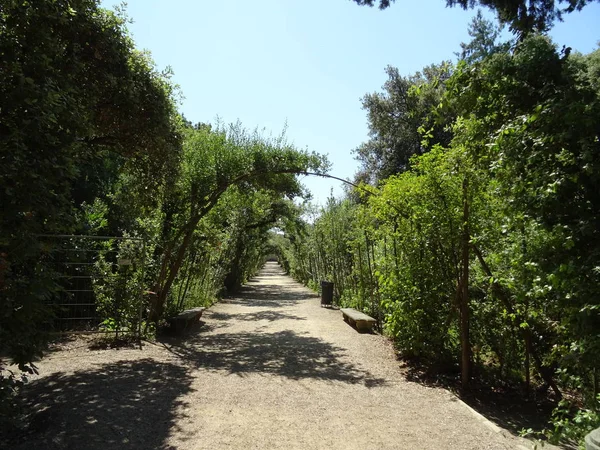 Castillo Jardín Florencia Italia — Foto de Stock