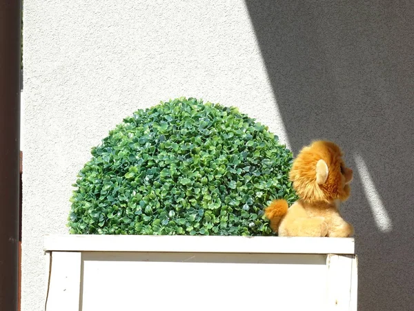 Lion Speelgoed Een Tuin — Stockfoto
