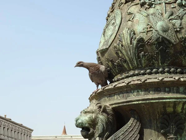 Gołąb Zabytkowej Włoskiej Fontanny — Zdjęcie stockowe