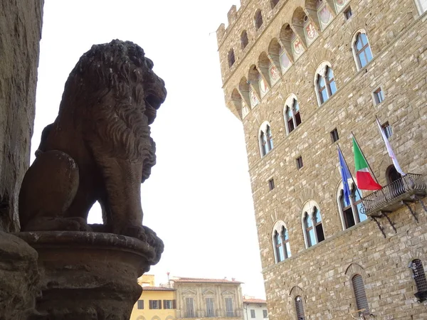 Άγαλμα Λιονταριού Στη Φλωρεντία Ιταλία Την Ημέρα — Φωτογραφία Αρχείου
