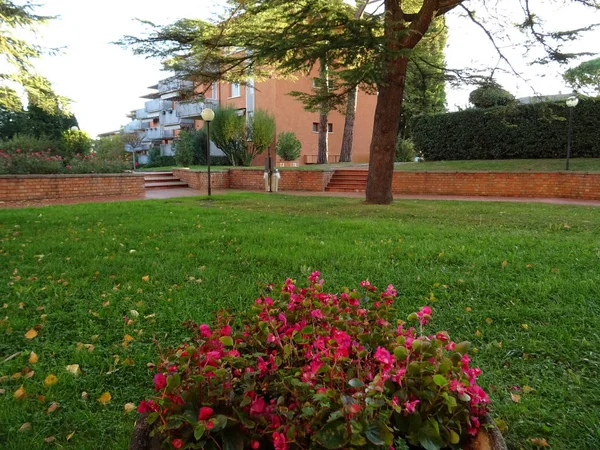 Peschiera Del Garda Trädgård Med Blommor — Stockfoto