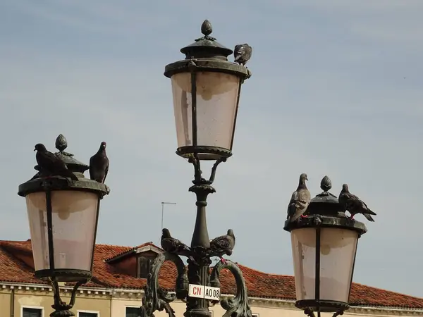 Lampes Rue Italiennes Pendant Journée — Photo