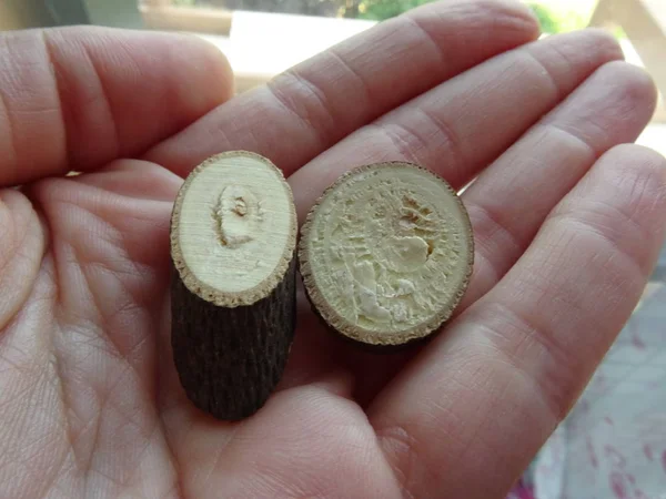 Small Wooden Slices Female Hand — Stock Photo, Image