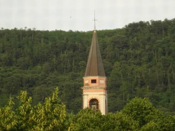 Iglesia Italiana Torre Entre Árboles — Foto de Stock