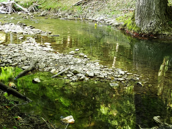 Gün Itme Küçük Orman Nehri — Stok fotoğraf