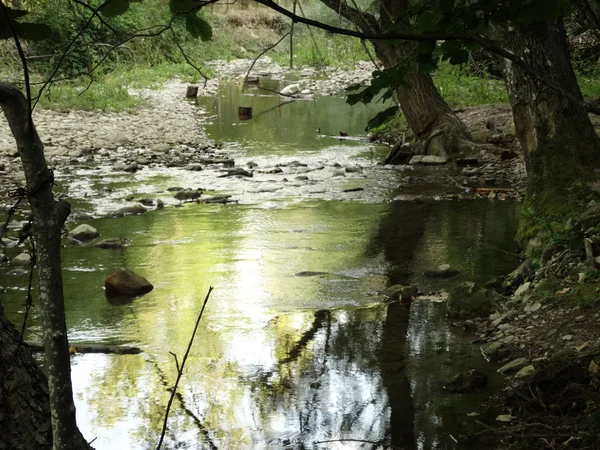 Gün Itme Küçük Orman Nehri — Stok fotoğraf