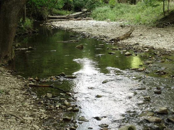 Gün Itme Küçük Orman Nehri — Stok fotoğraf