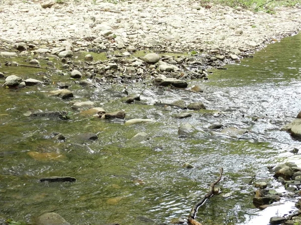 Gün Itme Küçük Orman Nehri — Stok fotoğraf