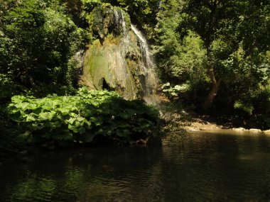 Parktaki güzel şelale