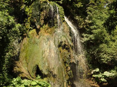 Parktaki güzel şelale
