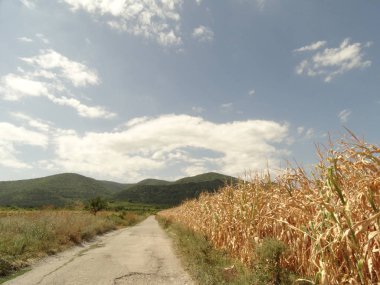 Dağ Manzarası, Yol ve Mısır Tarlası