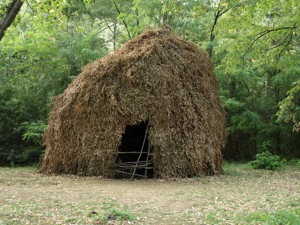 Halm Hus Skogen Dagtid — Stockfoto