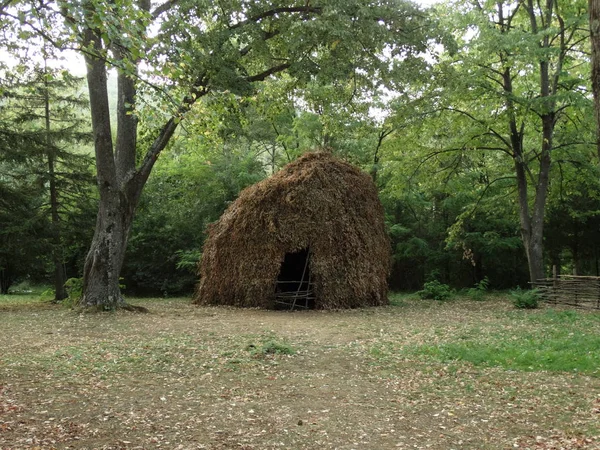 Halm Hus Skogen Dagtid — Stockfoto