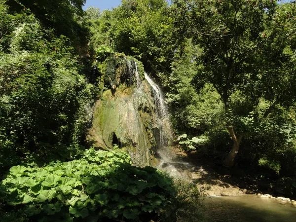 公園の美しい滝 — ストック写真